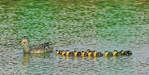 砍杀类动作游戏《俄罗斯人对蜥蜴人2》Steam页面 支持中文